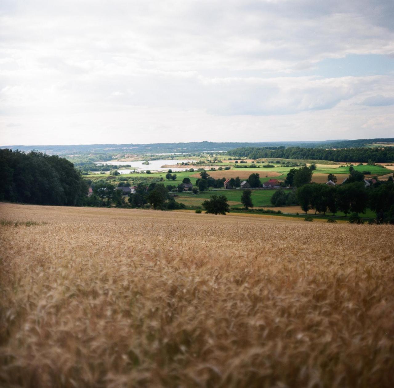 Pałac Brunów Lwowek Slaski Exterior foto